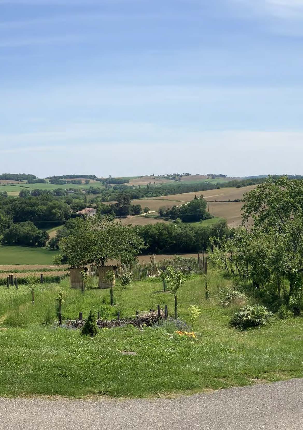 Paysage de champs agricoles avec un jardin en premier plan